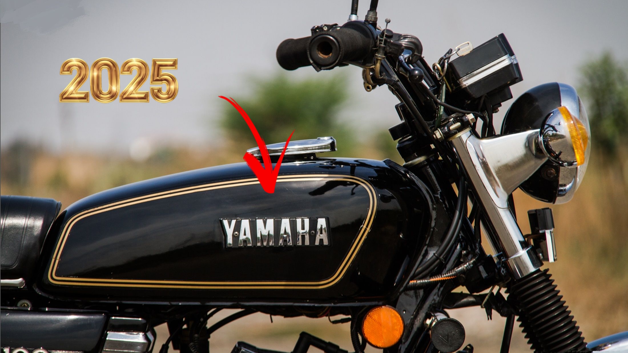 Yamaha RX 100